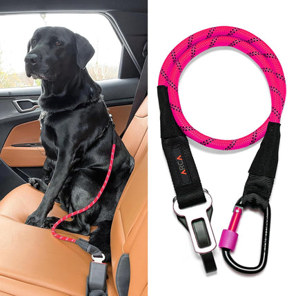 Dog Seat Belt for Car | Universal Dog Car Seatbelt | Durable Reflective Rope with Clip Hook Latch, Buckle and Carabiner- Safe and Secure Pet Safety Restraint (Orange)